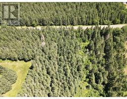 Trout River Road, Millvale, PE C0A1E0 Photo 6