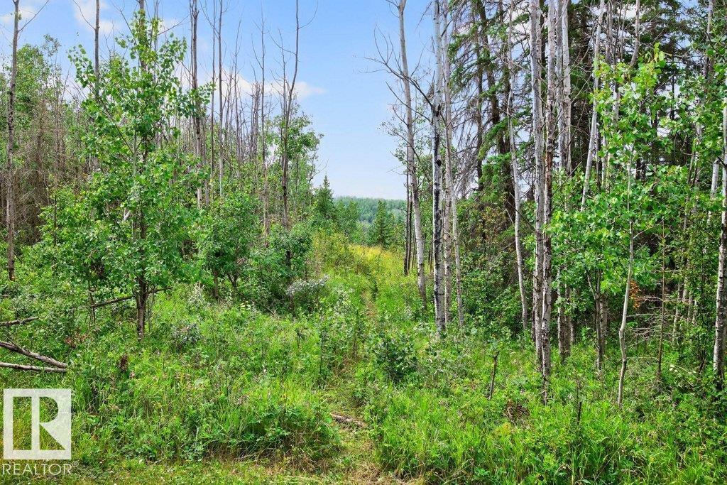 #129 50529 RGE ROAD 21, Rural Parkland County