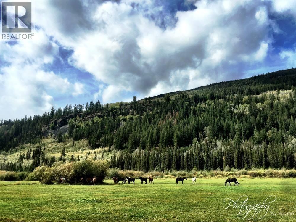 6775 TATLAYOKO ROAD, Williams Lake