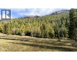 12608 Highway 3a Highway Lot# Parcel C, Boswell, BC V0B1A0 Photo 16