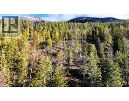 12608 Highway 3a Highway Lot# Parcel C, Boswell, BC V0B1A0 Photo 27