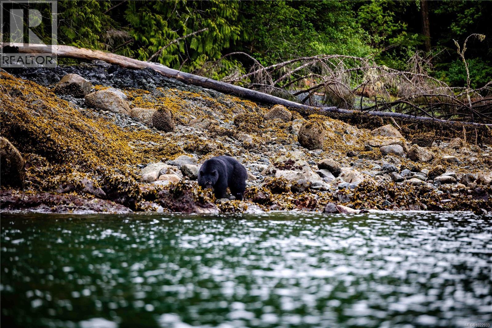 DL1833 Cracroft Island - photo 2