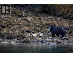 Dl1833 Cracroft Island, West Cracroft Island, BC V0N3J0 Photo 17