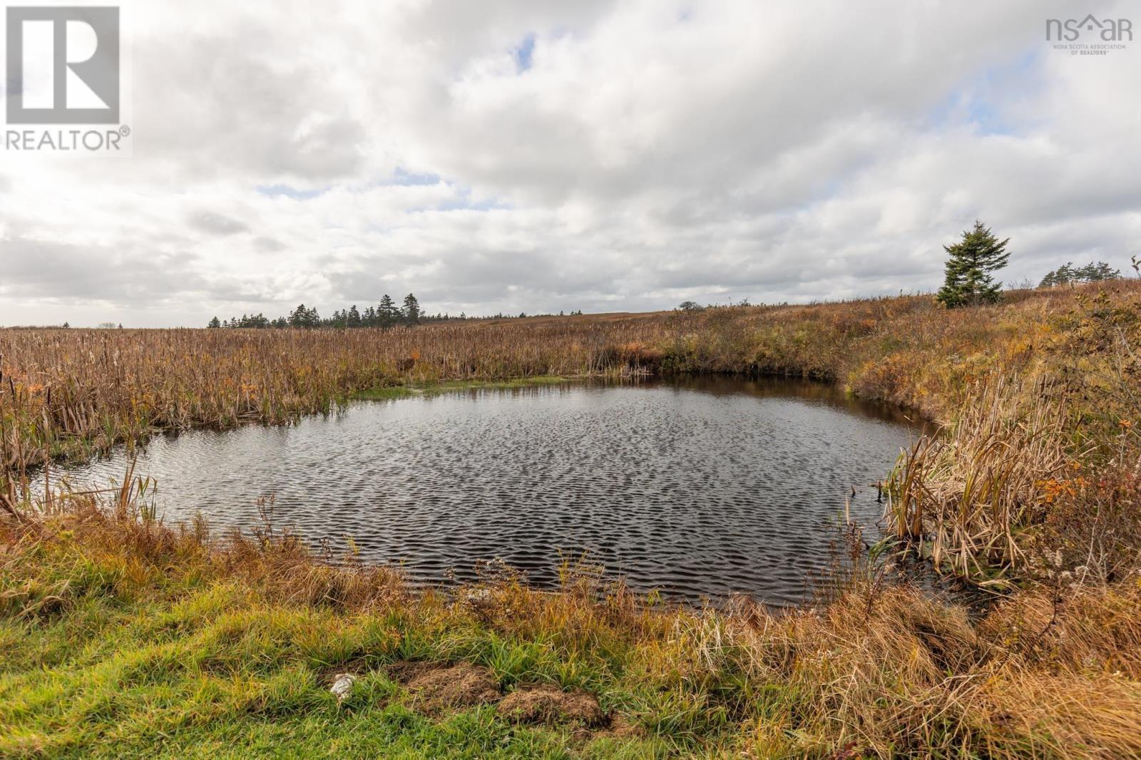 5347 Highway 1 - Photo 3 of 49, Salmon River, Nova Scotia