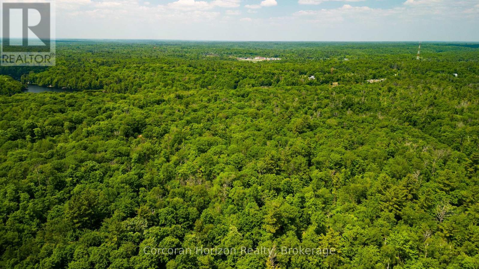 102 BLACK ROAD - Photo 4 of 14, Seguin, Ontario