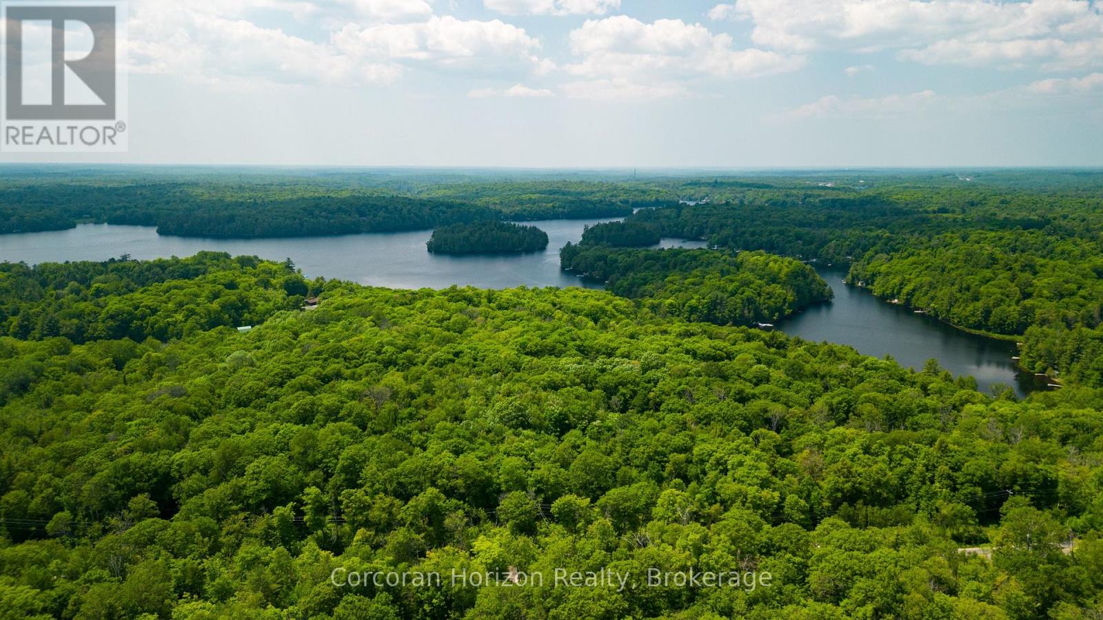 102 BLACK ROAD - Photo 5 of 14, Seguin, Ontario