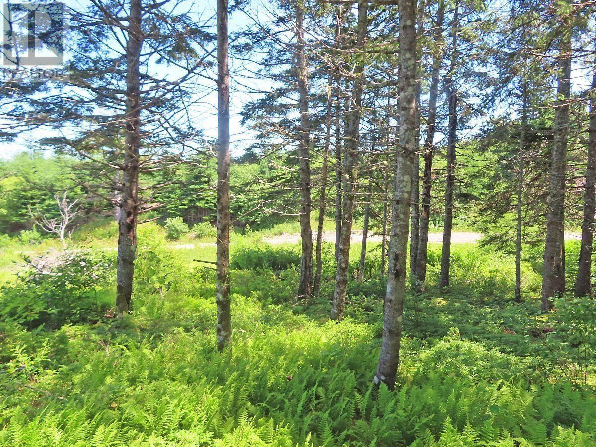 Property 10 of 38 of 20 Acres Upper Grand Mira Road