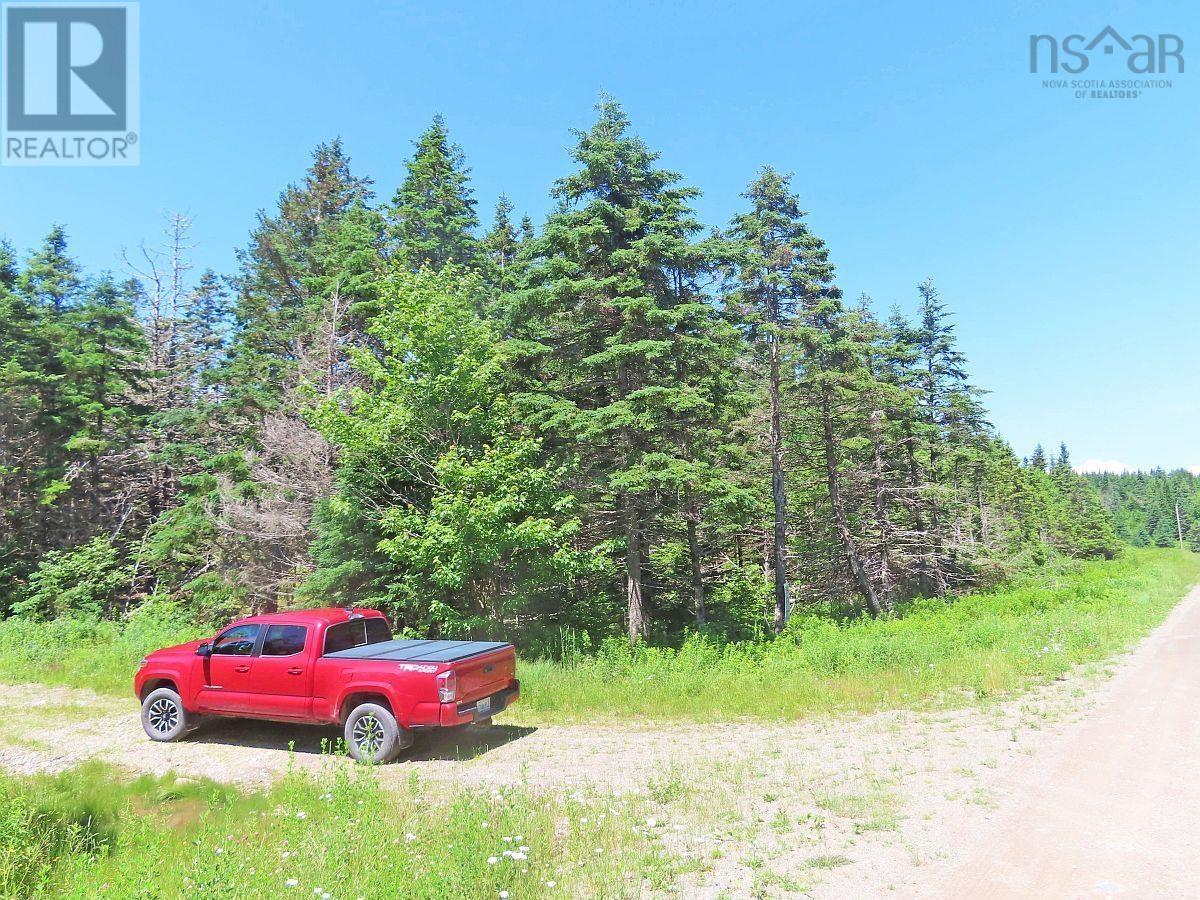 Property 12 of 38 of 20 Acres Upper Grand Mira Road