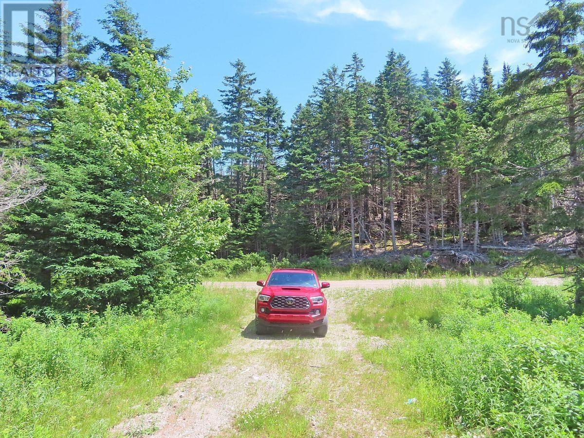 Property 11 of 38 of 20 Acres Upper Grand Mira Road