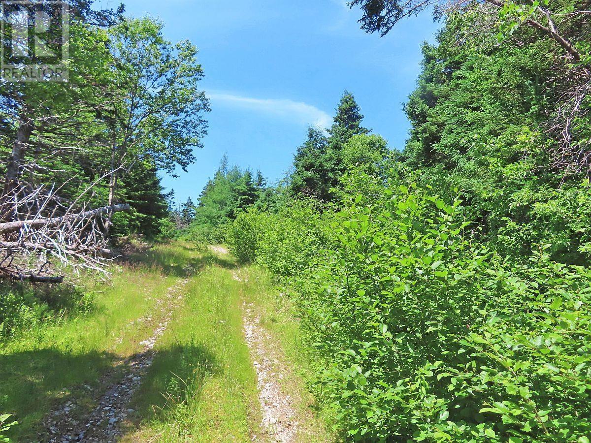 Property 2 of 38 of 20 Acres Upper Grand Mira Road