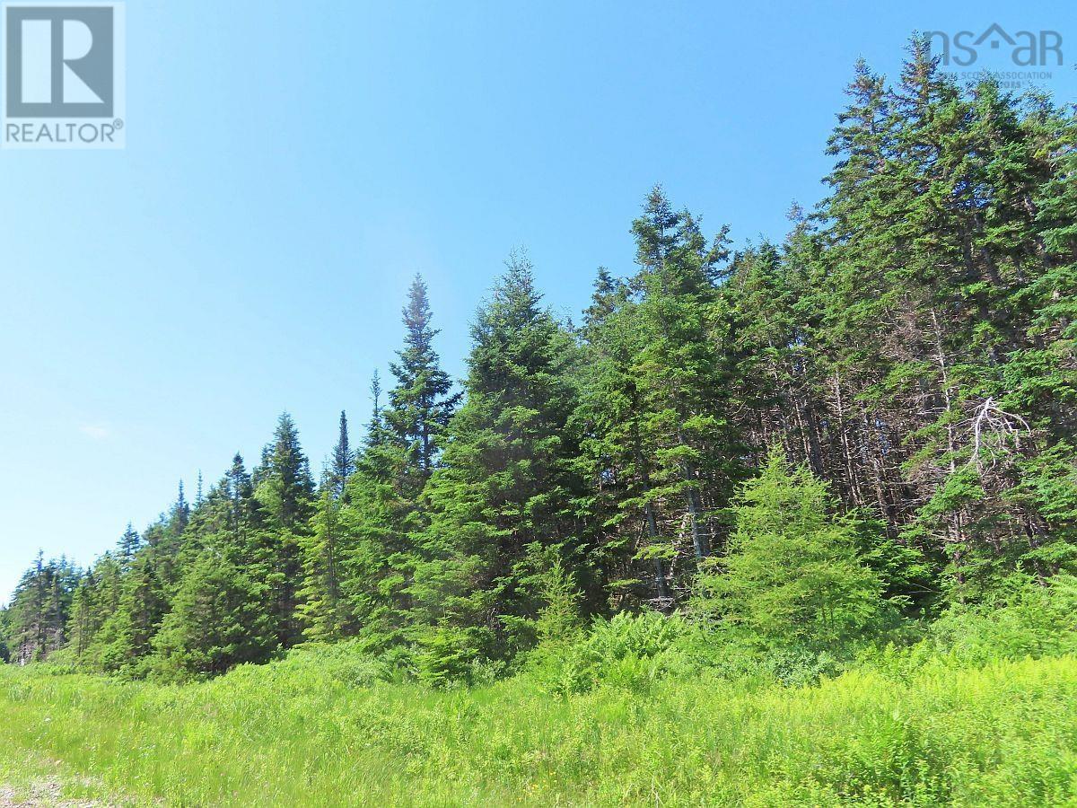 Property 4 of 38 of 20 Acres Upper Grand Mira Road