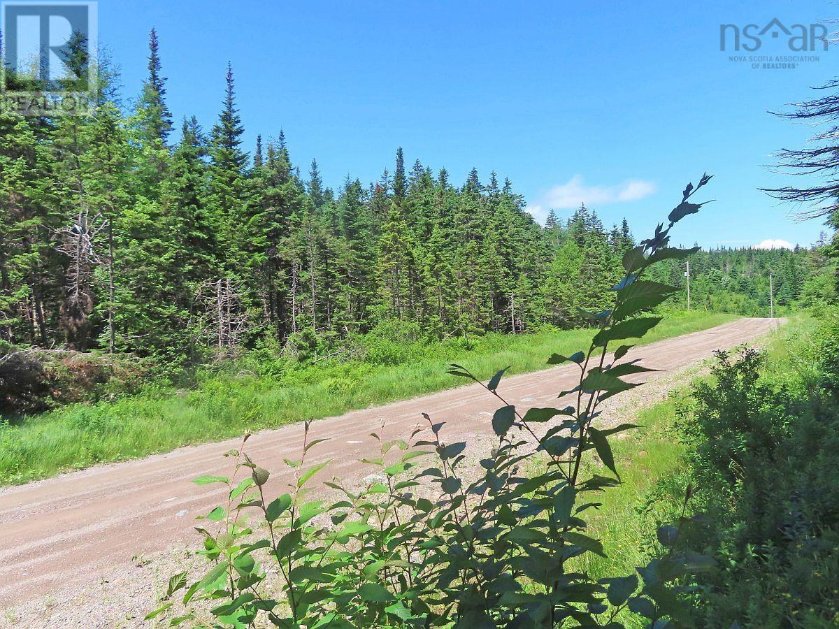 Property 8 of 38 of 20 Acres Upper Grand Mira Road