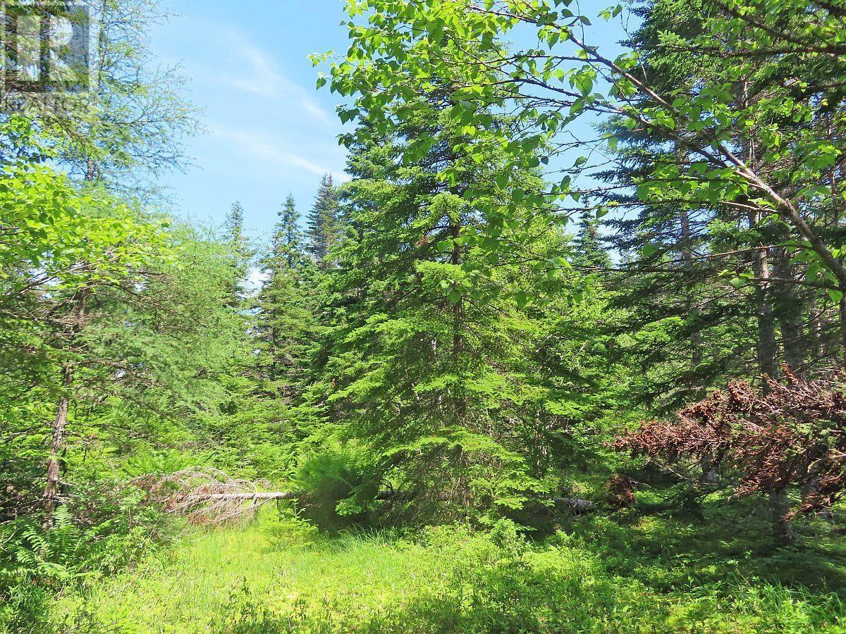 Property 9 of 38 of 20 Acres Upper Grand Mira Road