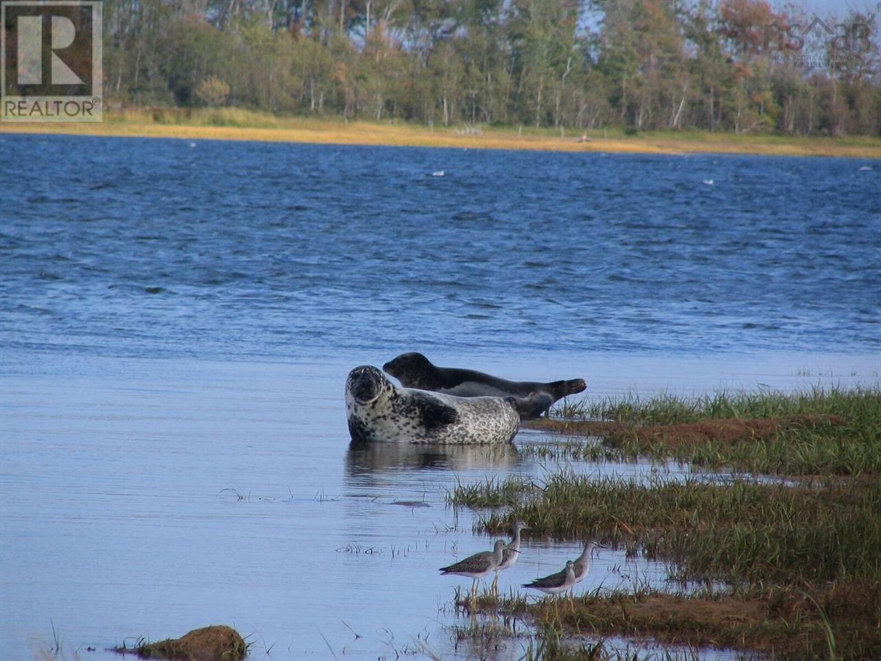 Property 4 of 6 of Lot 34 Seastone Drive