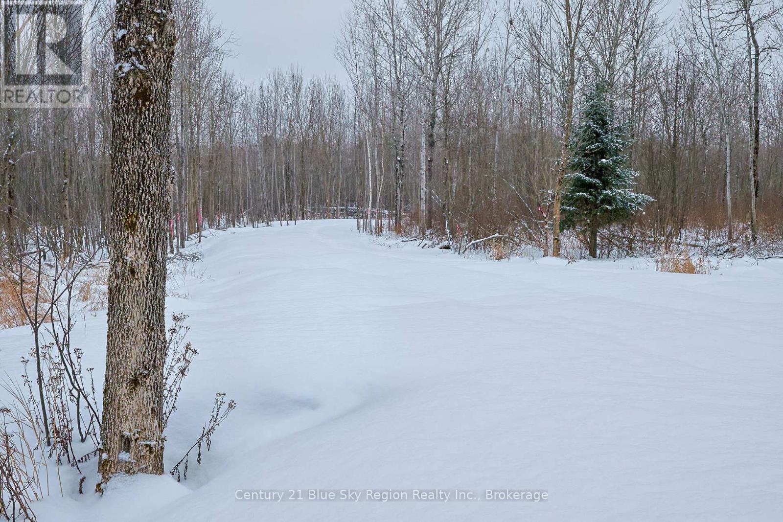 249 HILLS SIDING ROAD - Photo 3 of 14, Callander, Ontario