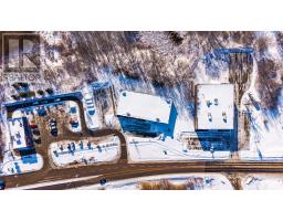 644 Dalton Avenue, Kingston, ON K7M8N7 Photo 12