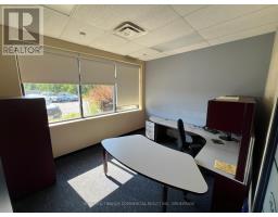 644 Dalton Avenue, Kingston, ON K7M8N7 Photo 9
