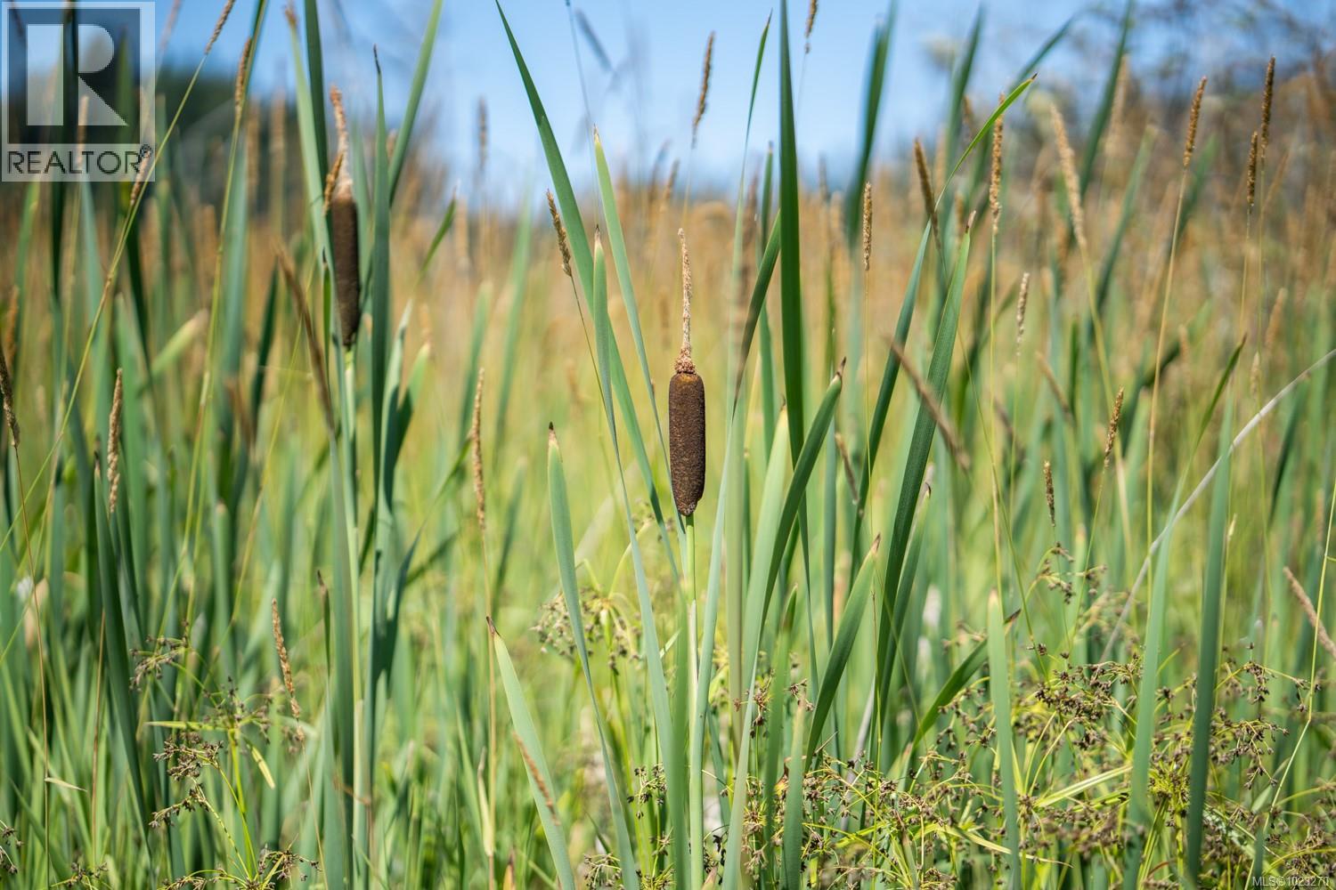 0 Thompson Ave, Nanaimo