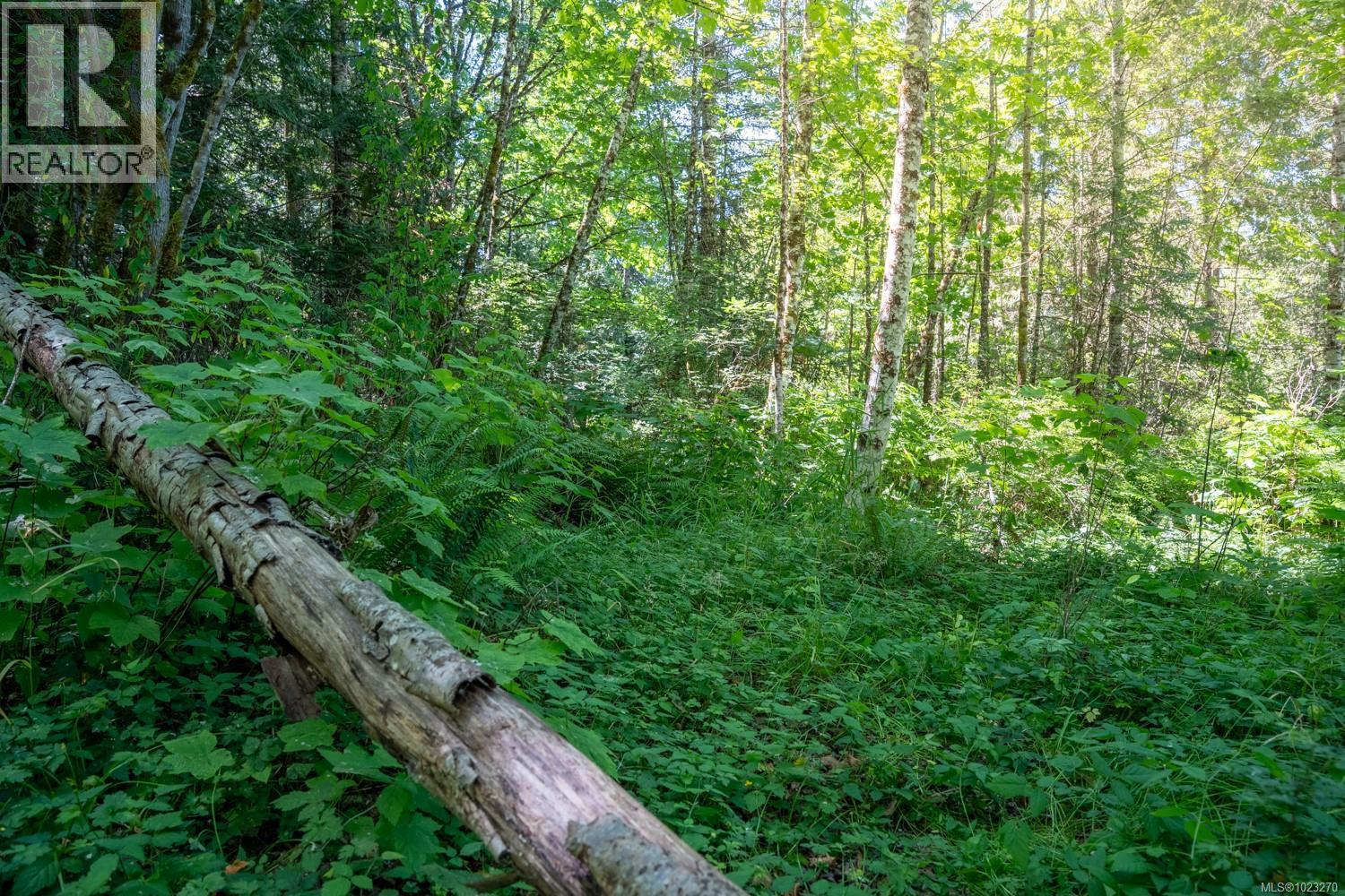 0 Thompson Ave, Nanaimo