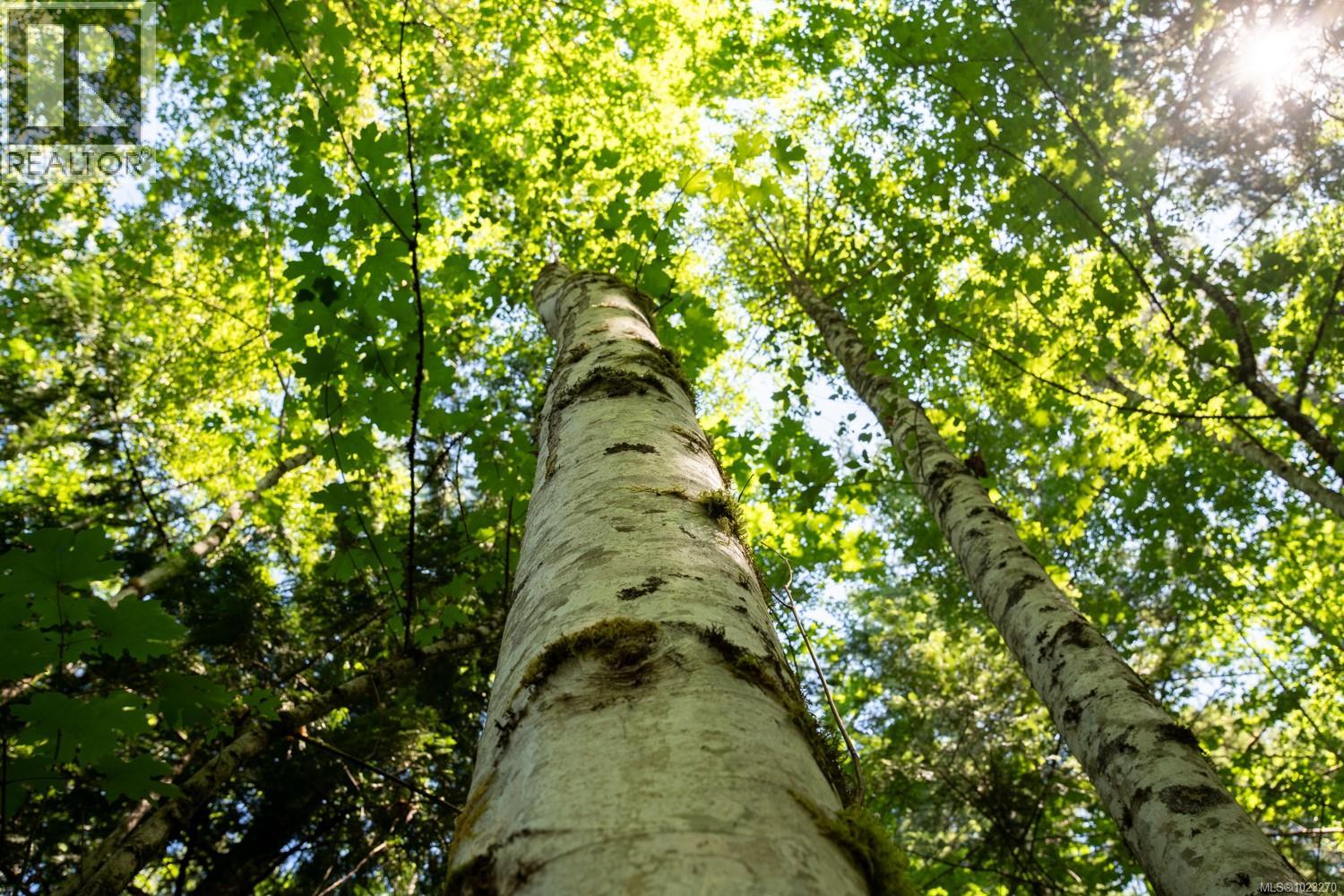 0 Thompson Ave, Nanaimo