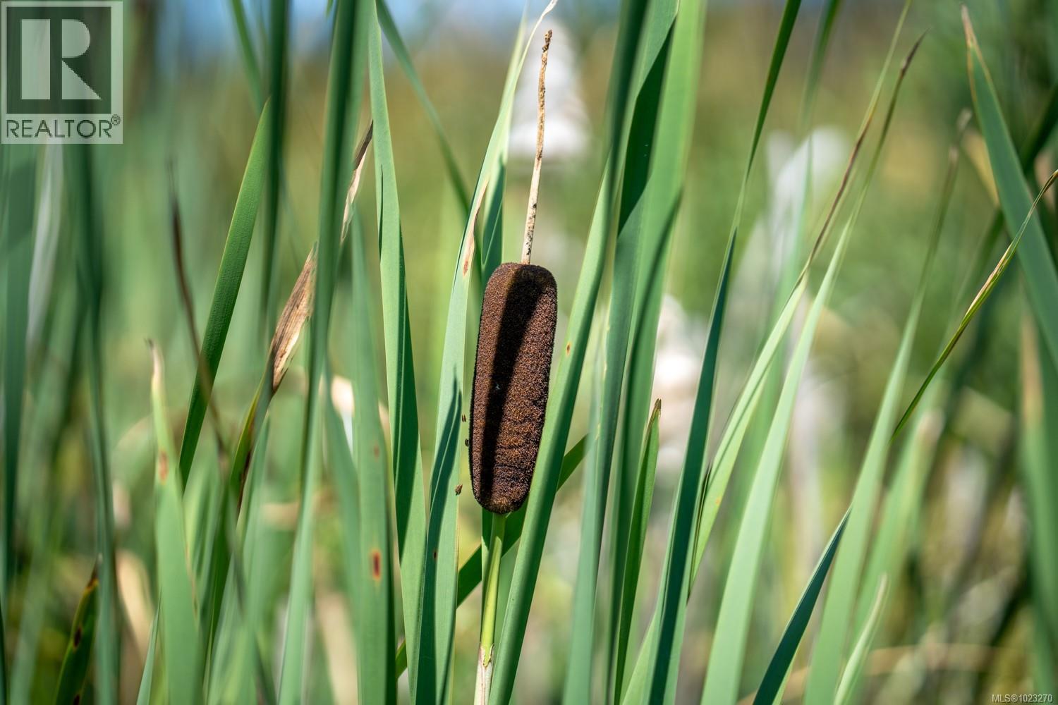 0 Thompson Ave, Nanaimo