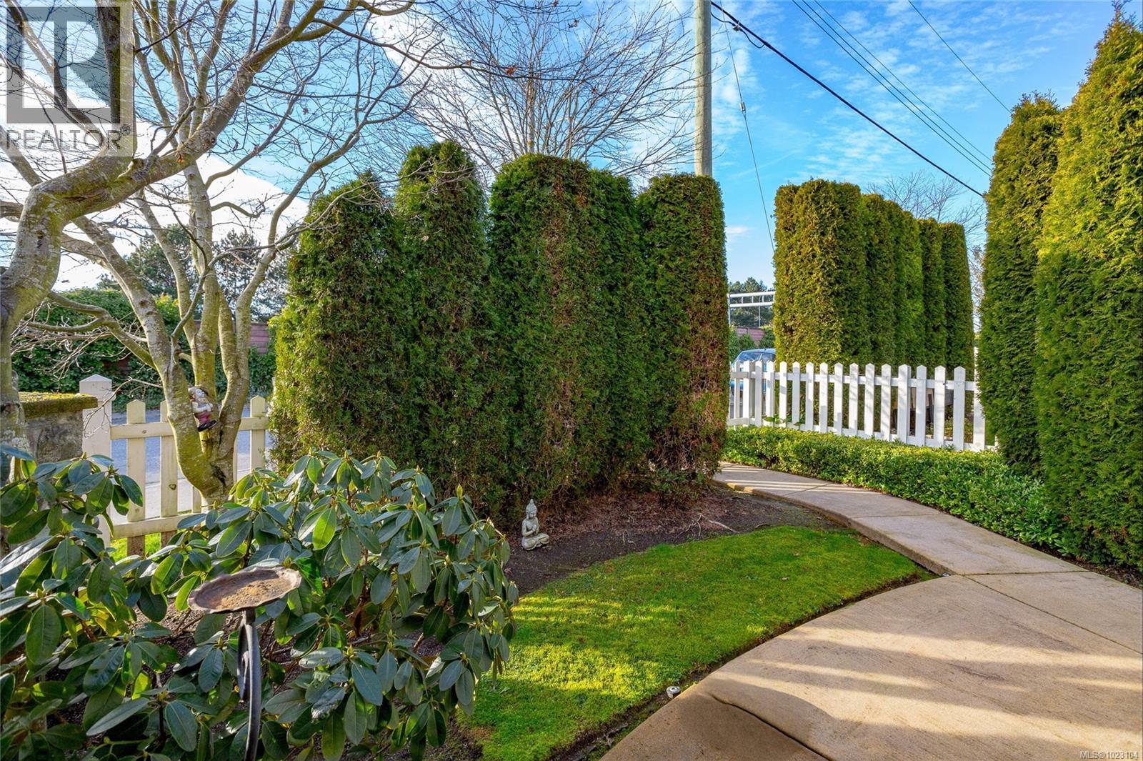 3 3903 Douglas Street, Saanich