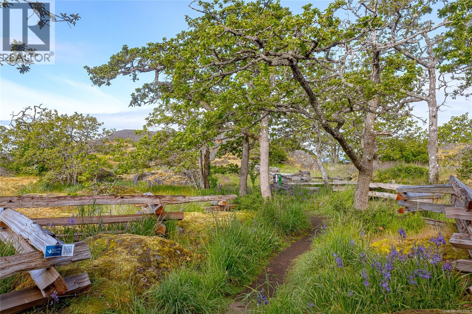 3 3903 Douglas Street, Saanich