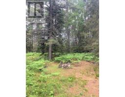 L17c3 Robinson Walkhouse Road, Silver Water, Manitoulin Island, ON P0P1Y0 Photo 13
