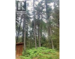 L17c3 Robinson Walkhouse Road, Silver Water, Manitoulin Island, ON P0P1Y0 Photo 18