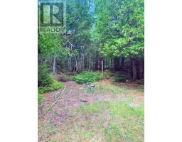 L17c3 Robinson Walkhouse Road, Silver Water, Manitoulin Island, ON P0P1Y0 Photo 28
