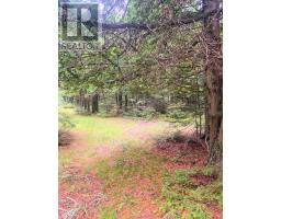L17c3 Robinson Walkhouse Road, Silver Water, Manitoulin Island, ON P0P1Y0 Photo 29