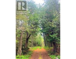 L17c3 Robinson Walkhouse Road, Silver Water, Manitoulin Island, ON P0P1Y0 Photo 30