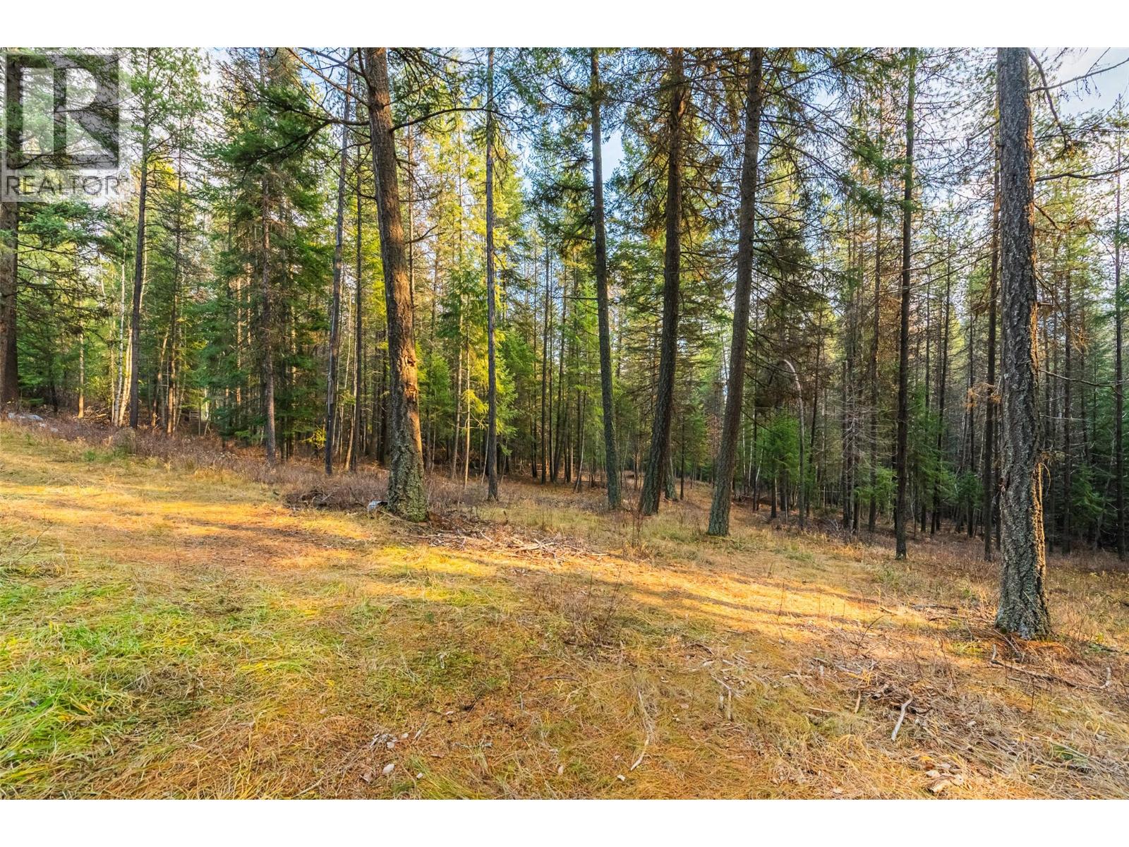 8667 YAHK SETTLEMENT ROAD - 14