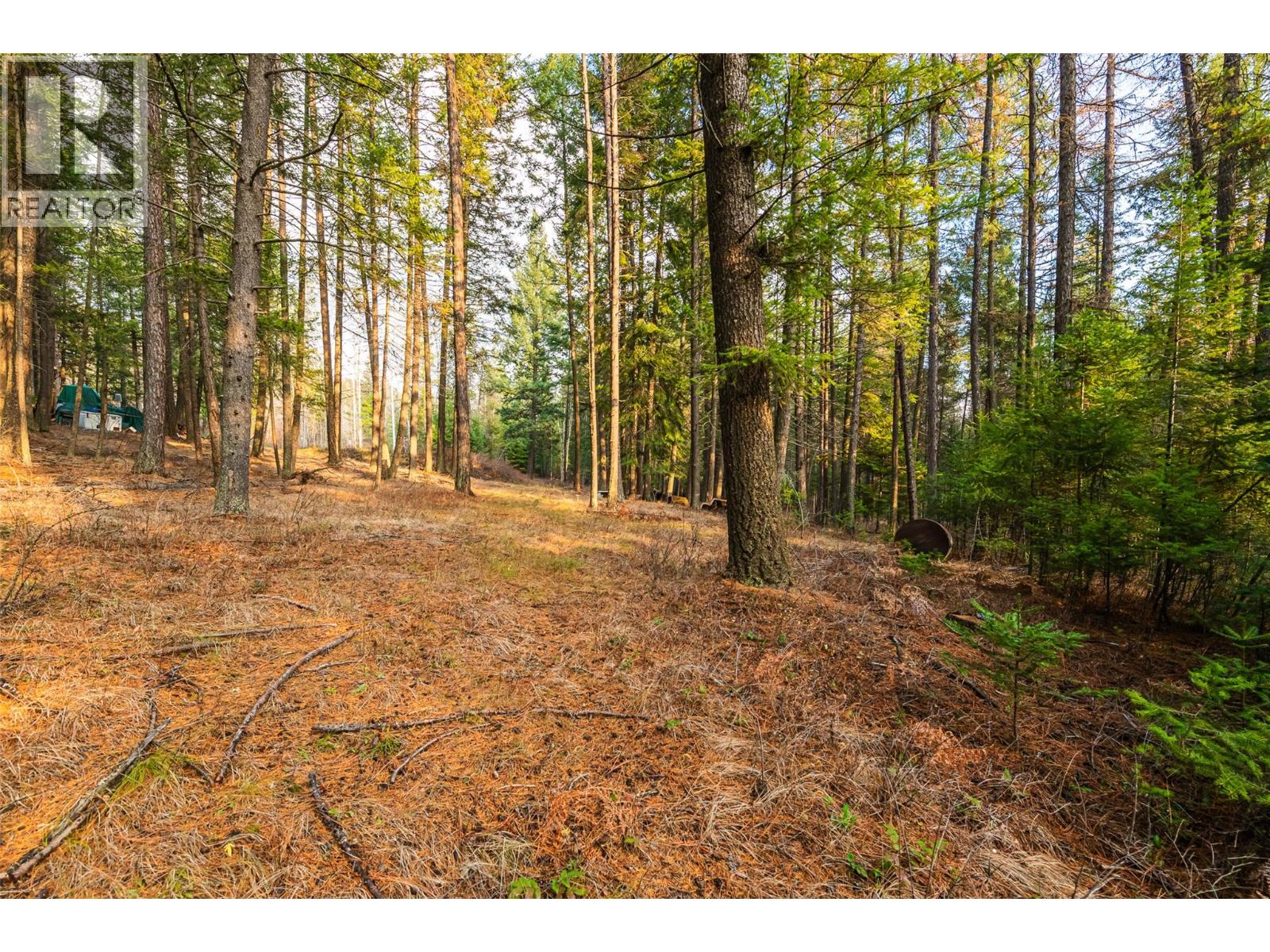 8667 YAHK SETTLEMENT ROAD - 13