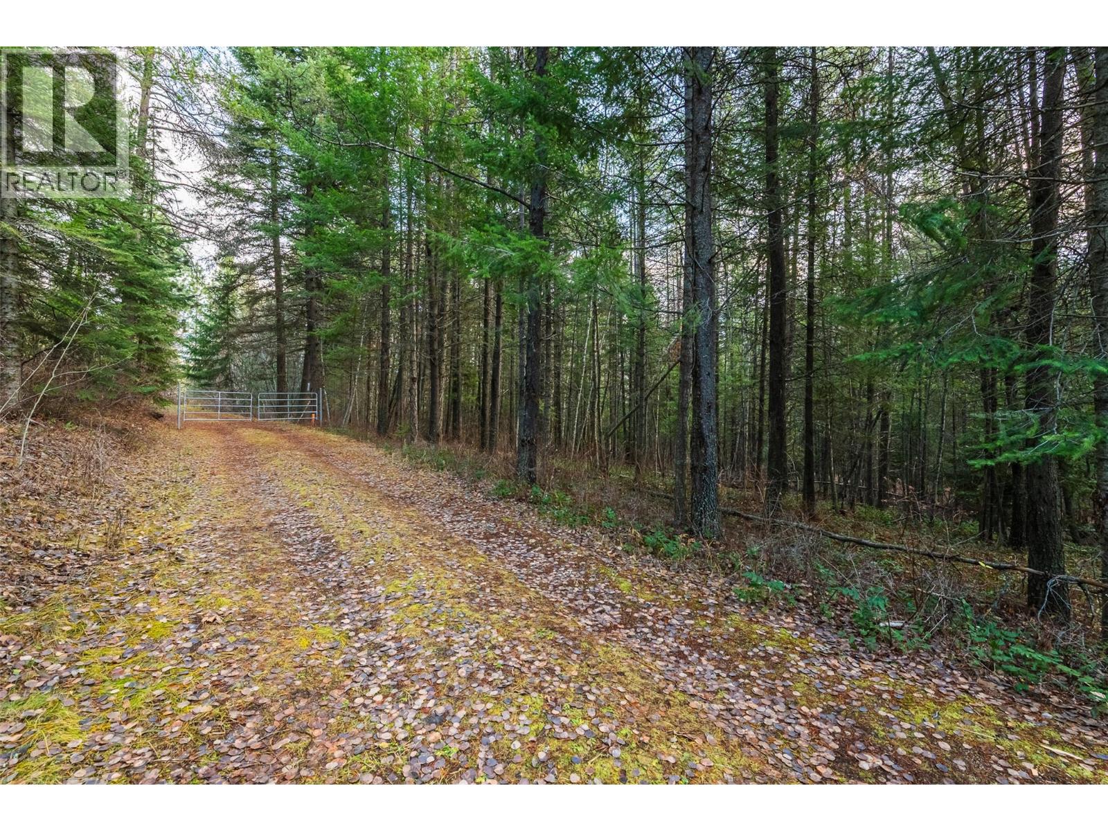 8667 YAHK SETTLEMENT ROAD - 16