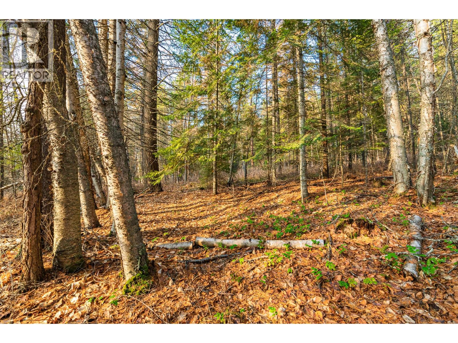 8667 YAHK SETTLEMENT ROAD - 10