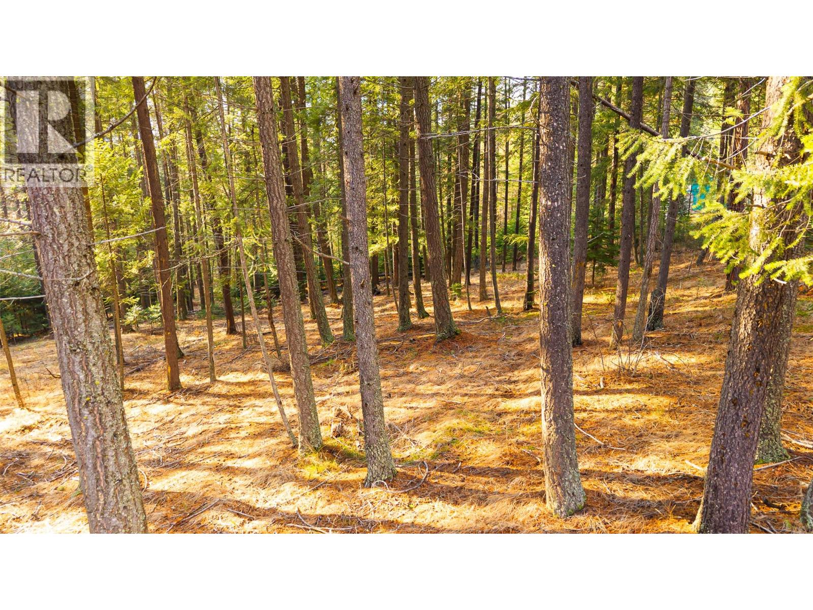 8667 YAHK SETTLEMENT ROAD - 28