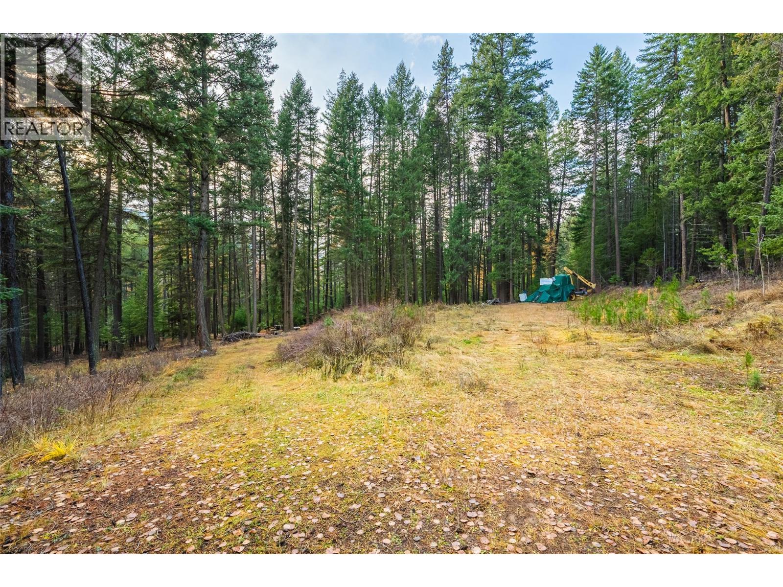 8667 YAHK SETTLEMENT ROAD - 15