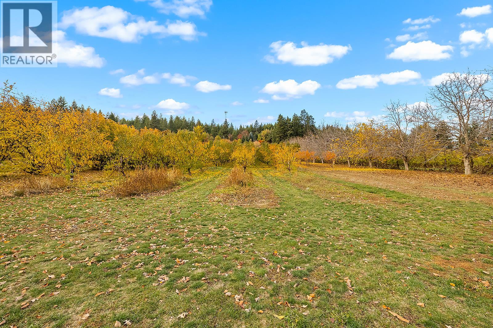 911 32ND AVENUE S - 7