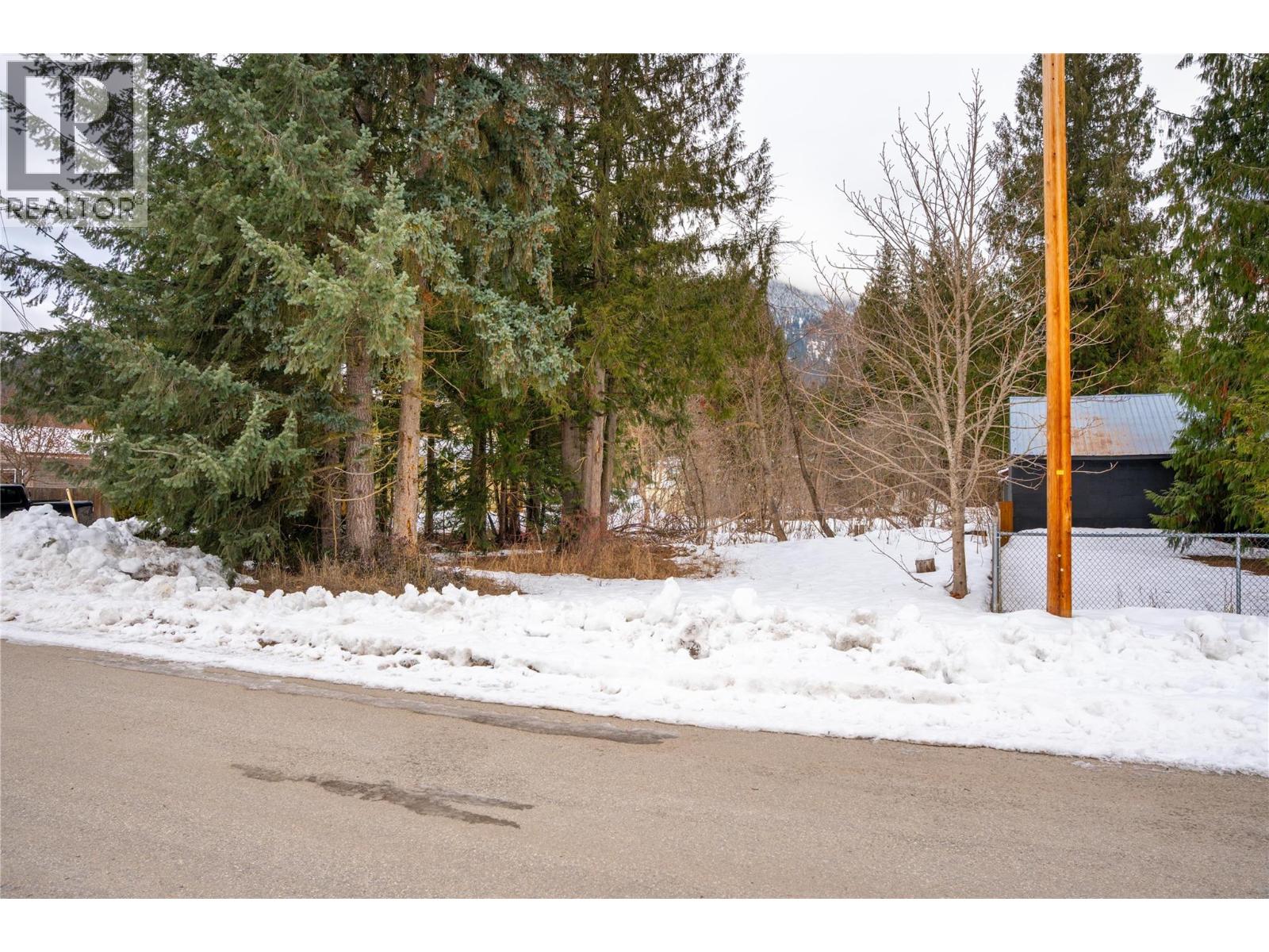 1206 Carlson Street, Revelstoke