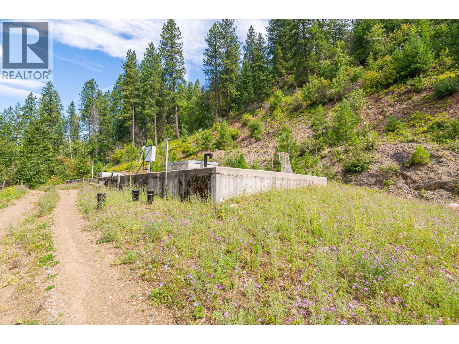 SUBLOT 9 MOUNTAIN SHORES ROAD - 22