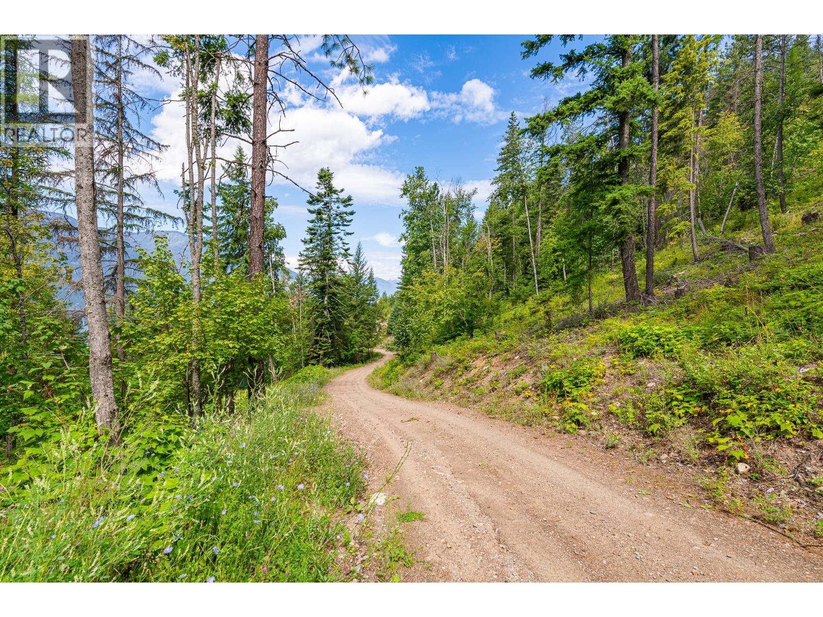 SUBLOT 9 MOUNTAIN SHORES ROAD - 34