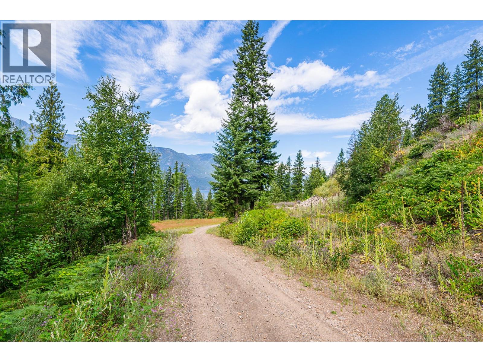 SUBLOT 9 MOUNTAIN SHORES ROAD - 32