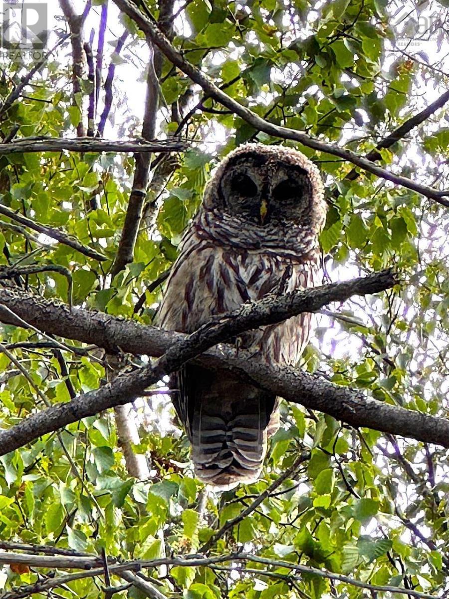 Property 21 of 49 of 5735 West Bay Rd