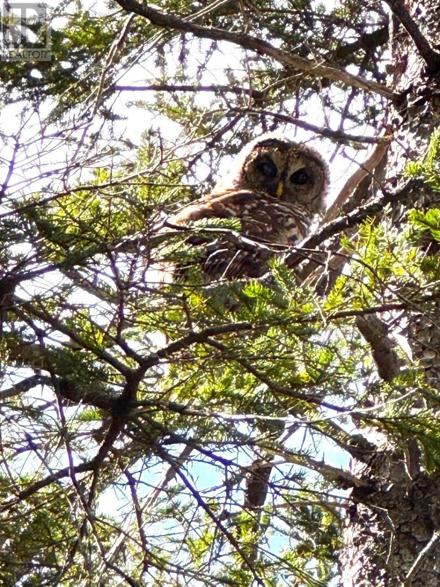 Property 23 of 49 of 5735 West Bay Rd