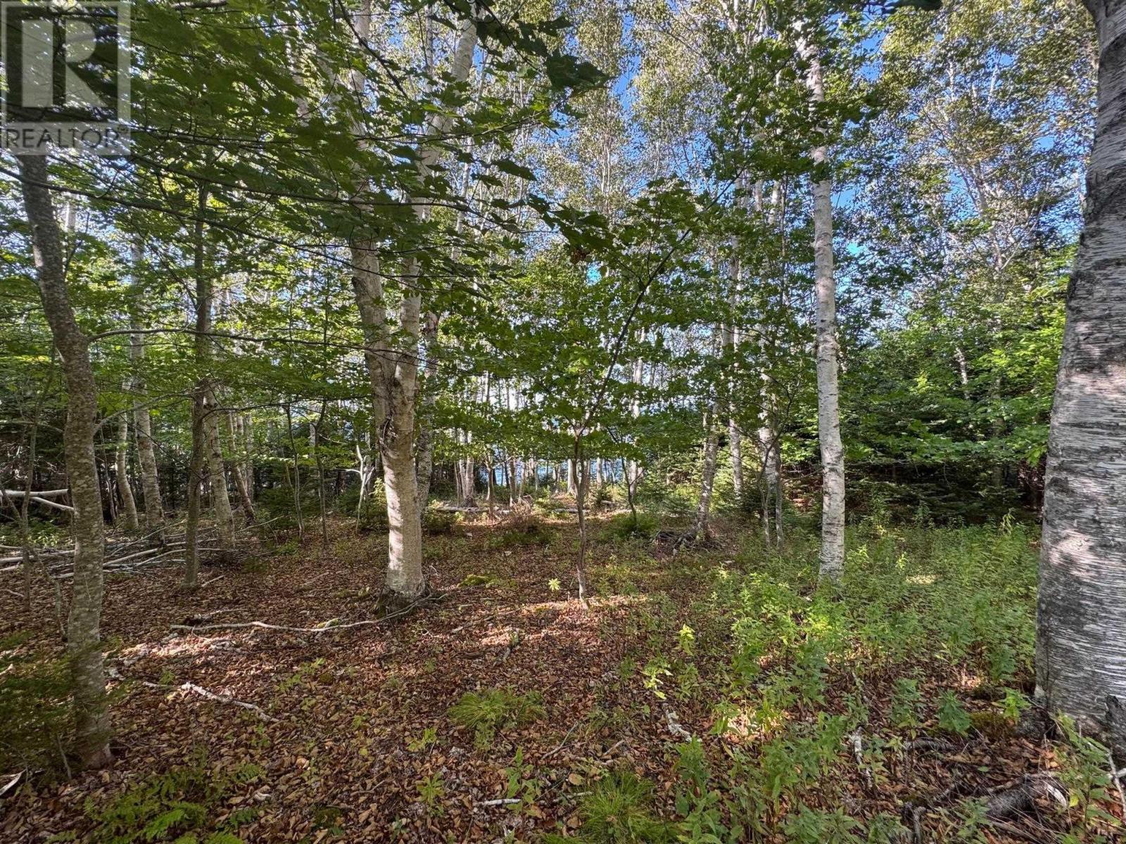 Property 31 of 49 of 5735 West Bay Rd