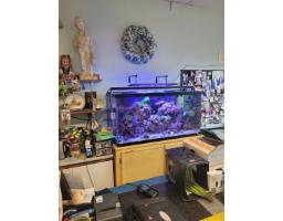 1257 Johnston Road, White Rock, BC V4B3Y8 Photo 9