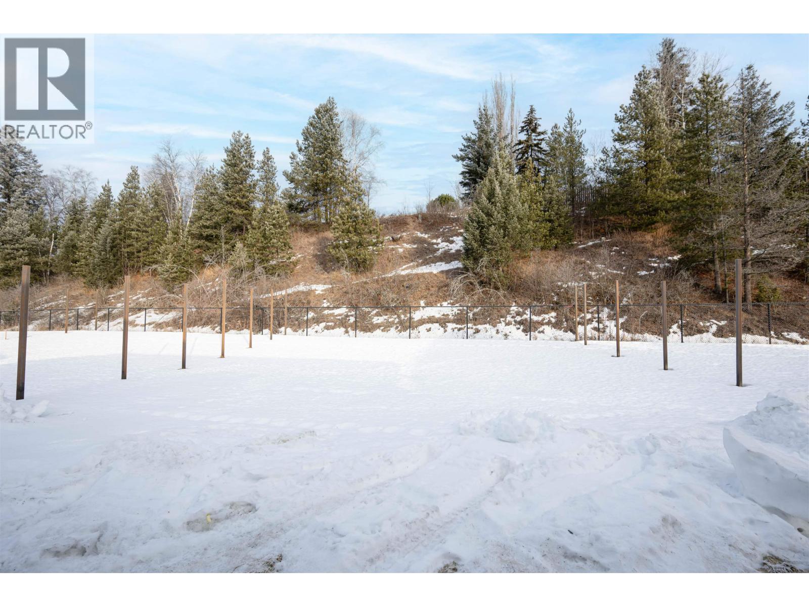 #118 960 NORTH NECHAKO ROAD - 9