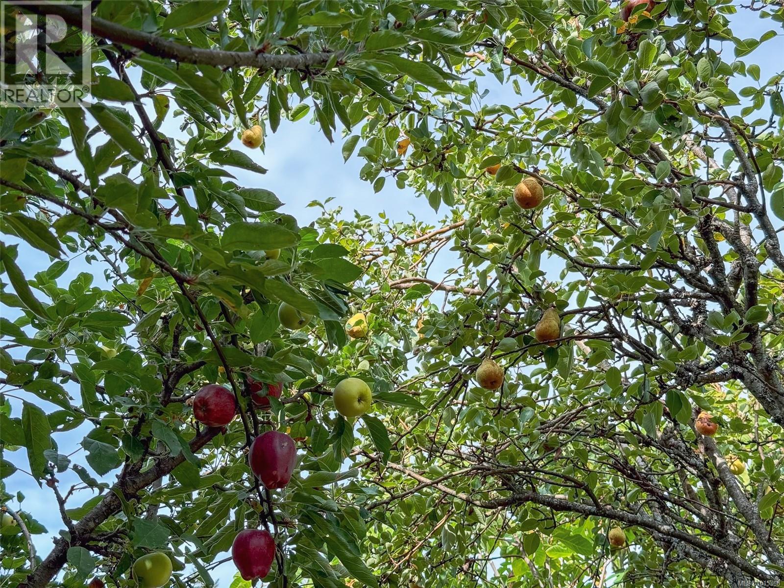 4927 Neill St, Port Alberni