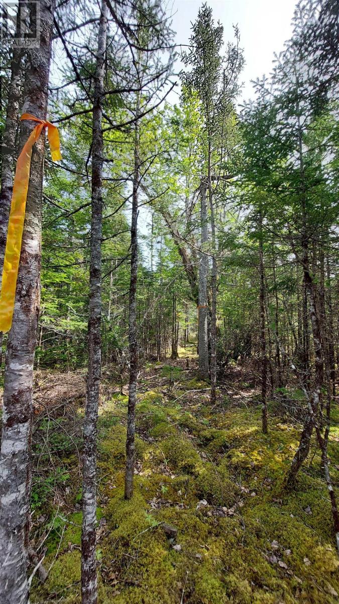 Property 16 of 25 of Lot 18 Highway 4